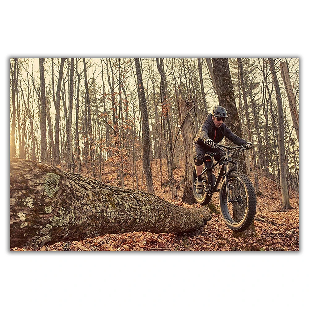 SP082 Zijden Doek Muurposter M - Mountain Biking Movies recensie en prijs